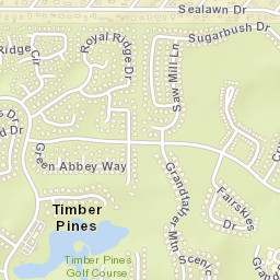 Timber Pines Florida Street Map