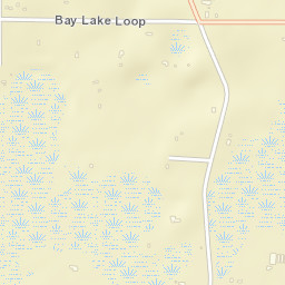 Bay Lake Florida Street Map