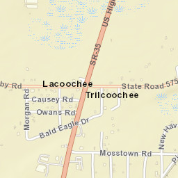 Trilcoochee Florida Street Map
