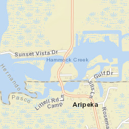 Aripeka Florida Street Map