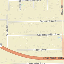 Canaveral Acres Florida Street Map