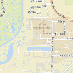 Lake Buena Vista Florida Street Map