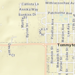 Tommytown Florida Street Map