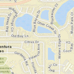 Buenaventura Lakes Florida Street Map