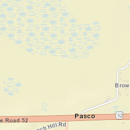 Pasco Florida Street Map
