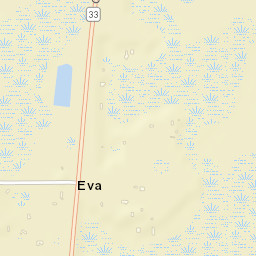 Eva Florida Street Map