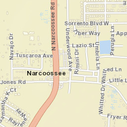Narcoossee Florida Street Map