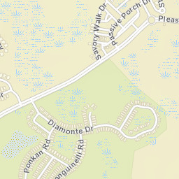8633 Pleasant Plains Parkway, Land O' Lakes Street Map