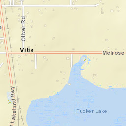 Vitis Florida Street Map