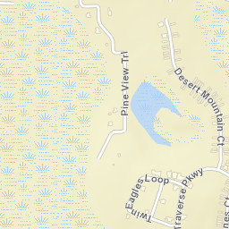 Reunion Florida Street Map