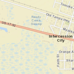 Intercession City Florida Street Map