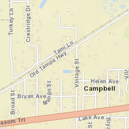 Campbell Florida Street Map
