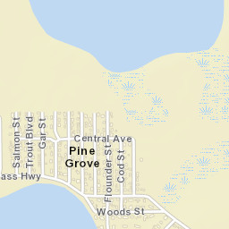 Pine Grove Florida Street Map