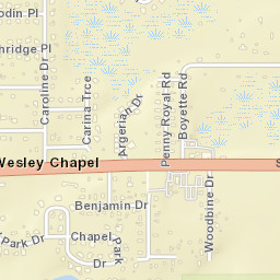 Wesley Chapel Florida Street Map