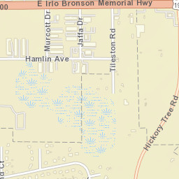 Ashton Florida Street Map