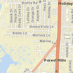Holiday Florida Street Map