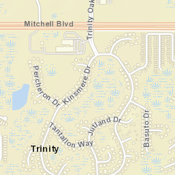 Trinity Florida Street Map
