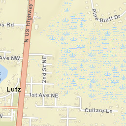 Lutz Florida Street Map