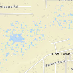 Fox Town Florida Street Map