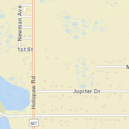 Holopaw Florida Street Map