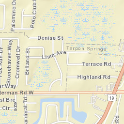 Cove Springs Florida Street Map