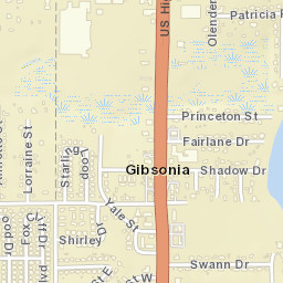 Gibsonia Florida Street Map