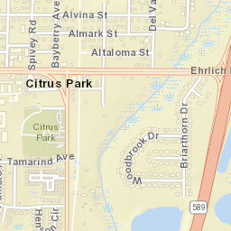 Citrus Park Florida Street Map