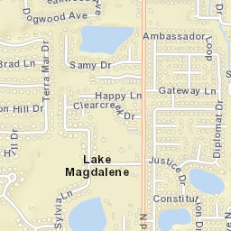 Lake Magdalene Florida Street Map