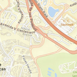 Playa de las Américas Street Map