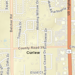 Curlew Florida Street Map