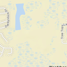 West Chase Florida Street Map