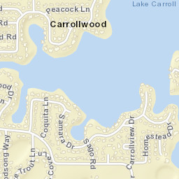 Carrollwood Florida Street Map