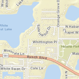 Goldstein Florida Street Map