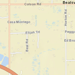 Bealsville Florida Street Map