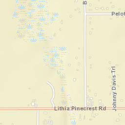 Lithia Florida Street Map