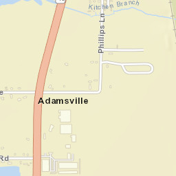Adamsville Florida Street Map