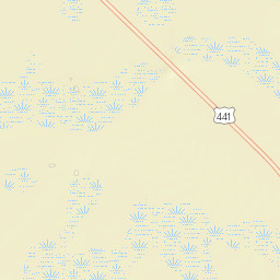 Lokosee Florida Street Map