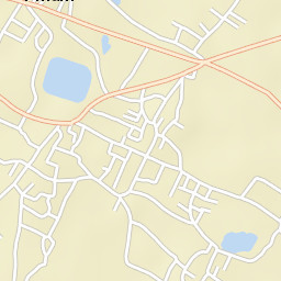 Pihani Street Map