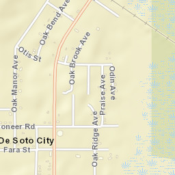 De Soto City Florida Street Map