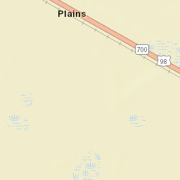 Plains Florida Street Map