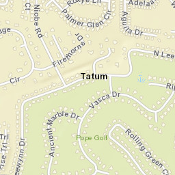 Tatum Florida Street Map