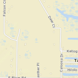 Tarpon Point Florida Street Map