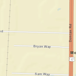 Morgantown Florida Street Map