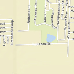 Blue Heron Pines Florida Street Map