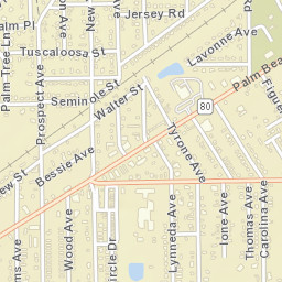 Tice Florida Street Map