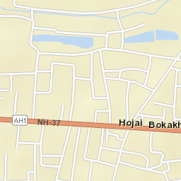 Bokakhat Street Map