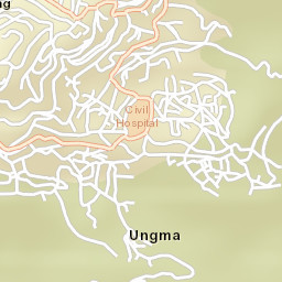 Mokokchung Street Map