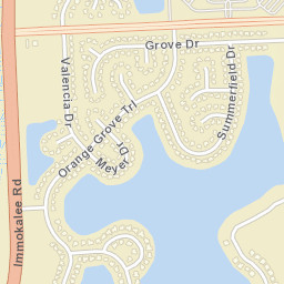 Orangetree Florida Street Map