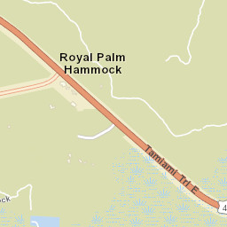 Royal Palm Hammock Florida Street Map