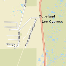Lee Cypress Florida Street Map